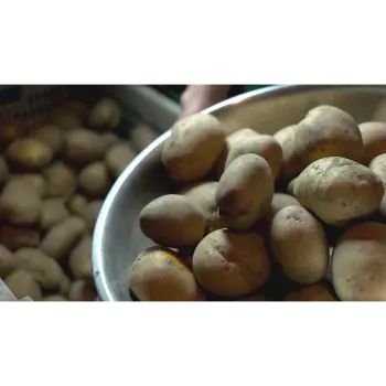 Potato (38)-6604792-53864.webp